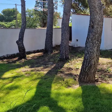 St-clair Villa, Piscine&pinède